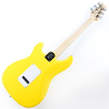 P.R.S. SE Silver Sky Rosewood (Dandy Lion) [John Mayer Model] SN.CTIH033775 【2025年生産品】 画像2