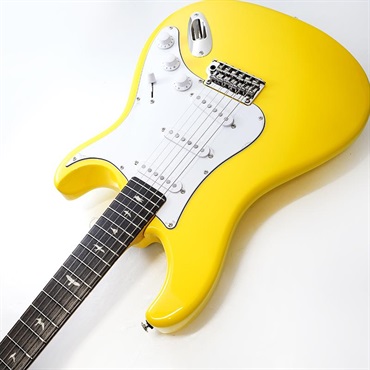 P.R.S. SE Silver Sky Rosewood (Dandy Lion) [John Mayer Model] SN.CTIH033775 【2025年生産品】 画像5