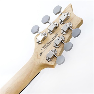 P.R.S. SE Silver Sky Rosewood (Dandy Lion) [John Mayer Model] SN.CTIH033775 【2025年生産品】 画像9