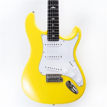 P.R.S. SE Silver Sky Rosewood (Dandy Lion) [John Mayer Model] SN.CTIH033775 【2025年生産品】 画像10