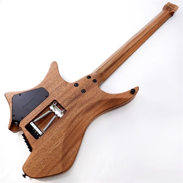Strandberg Boden Prog NX 6 Plini Edition 画像2