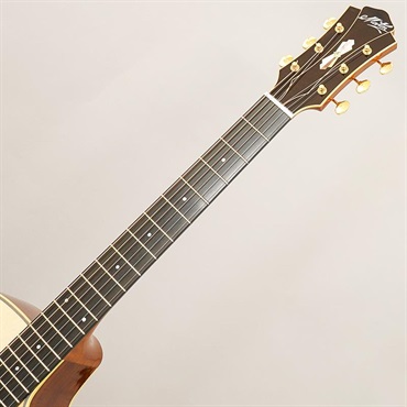 MATON Master Built L.E.May 【良木目個体！】 メイトン 画像8
