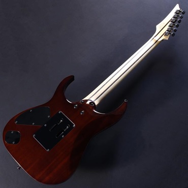Ibanez j.custom Axe Design Lab RG8870-BSR (Brownish Sphalerite) [SPOT MODEL] 画像5