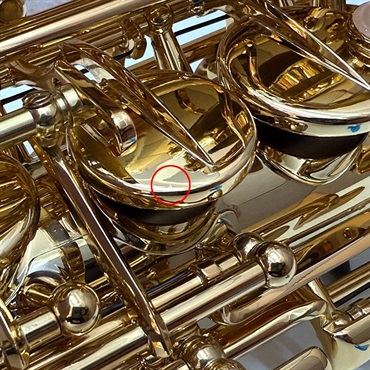 Selmer Paris 【チョイキズ特価】 アルトサックス セルマー SA-80II(シリーズ2) ジュビリー GL w/e(彫刻付) 【調整&セットアップ後出荷】【5年間キーバランス調整無料】 画像4