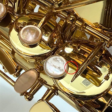 Selmer Paris 【チョイキズ特価】 アルトサックス セルマー SA-80II(シリーズ2) ジュビリー GL w/e(彫刻付) 【調整&セットアップ後出荷】【5年間キーバランス調整無料】 画像5