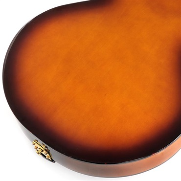 Ibanez AFC71-VLS 画像7