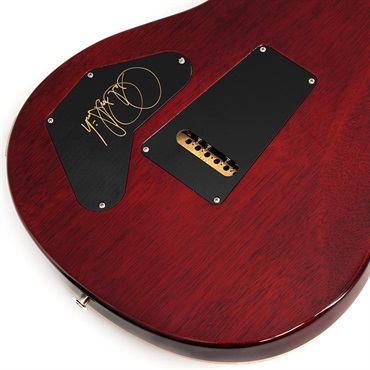 P.R.S. 【Paul Reed Smith氏サイン入り！！】 DGT Birds（Dark Cherry Sunburst ） [SN.0409896] 【2025年生産モデル】 画像7