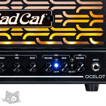 Bad Cat OCELOT (オセロット) 画像4
