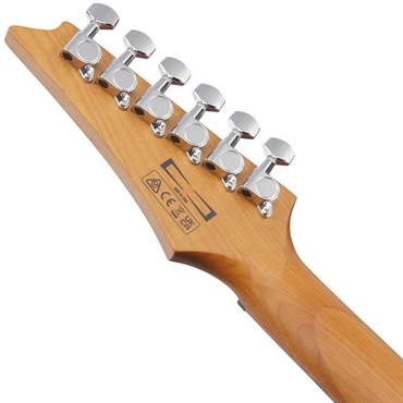 Ibanez GRG121SP-BMC (Blue Metal Chameleon) [SPOT MODEL] 画像5
