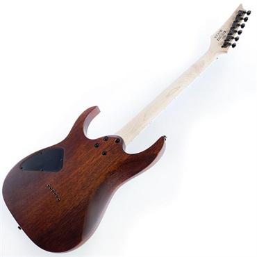 Ibanez RG421S-SEM (Sea Shore Matte) [SPOT MODEL] 画像2