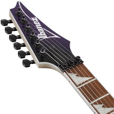 Ibanez RG470DX-TMN [SPOT MODEL] 画像4