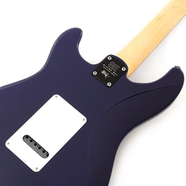P.R.S. SE Silver Sky Rosewood (Trad Blue) 画像5