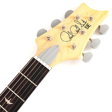 P.R.S. SE Silver Sky Rosewood (Laurel Green) 画像6
