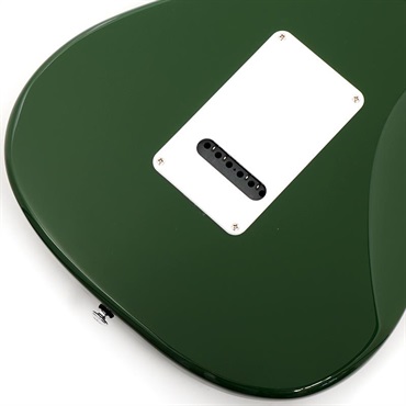 P.R.S. SE Silver Sky Rosewood (Laurel Green) 画像7