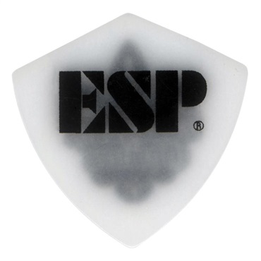 ESP PA-TO08 大村孝佳 Singature Model 画像1