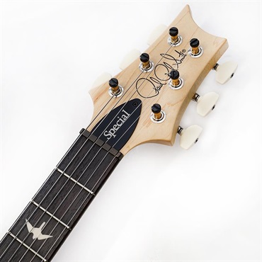 P.R.S. CE 24 Special Limited Edition (Faded Blue Smokeburst) SN.0411274 画像8
