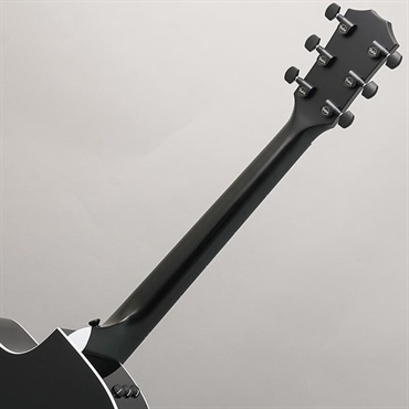 TAYLOR 214ce Plus Special Edition (Trans Blue) テイラー 画像10