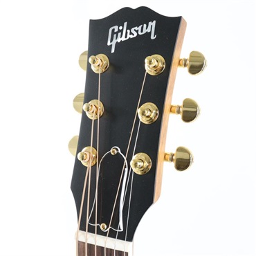 Gibson Parlor Rosewood　EC (Rosewood Burst) ギブソン 画像4