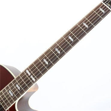 Gibson Parlor Rosewood　EC (Rosewood Burst) ギブソン 画像5
