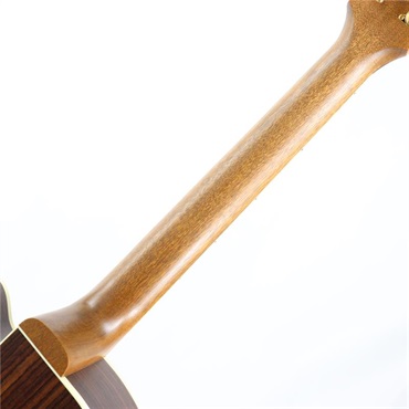 Gibson Parlor Rosewood　EC (Rosewood Burst) ギブソン 画像6