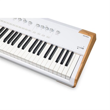 Arturia Astrolab 88 （ハンマーアクション鍵盤採用）アートリア アストロラボ 88鍵盤 ピアノタッチ ※配送事項要ご確認 画像2