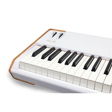 Arturia Astrolab 88 （ハンマーアクション鍵盤採用）アートリア アストロラボ 88鍵盤 ピアノタッチ ※配送事項要ご確認 画像3