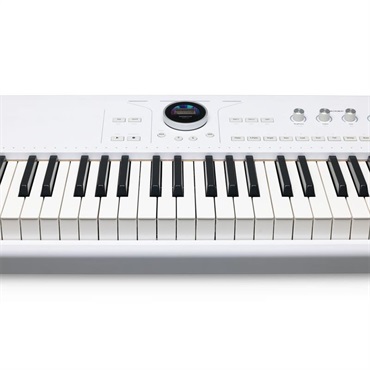 Arturia Astrolab 88 （ハンマーアクション鍵盤採用）アートリア アストロラボ 88鍵盤 ピアノタッチ ※配送事項要ご確認 画像4