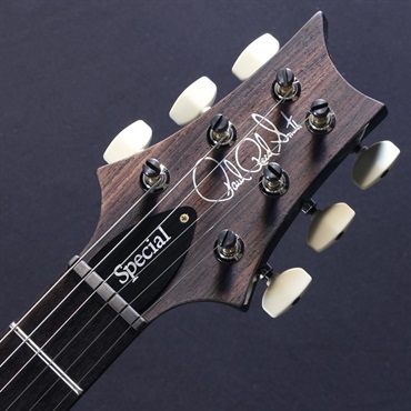 P.R.S. Ikebe 50th Anniversary Wood Library Special Semi-Hollow (Teal) #0404323【2025年生産品】 画像4