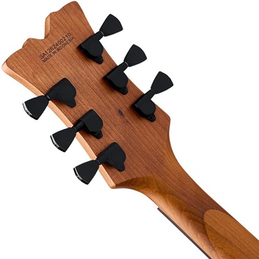 EVH SA-126 Standard (Piano Black) 画像5