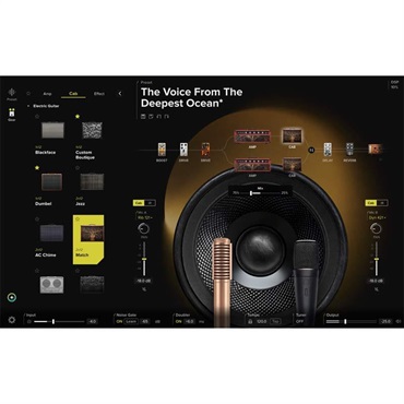 Positive Grid BIAS X (バイアスエックス)(アンプシミュレーター)(オンライン納品)(2時間以内に納品) 画像4