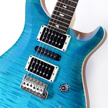 P.R.S. CE 24 Special Limited Edition (Carroll Blue) SN.0412969 画像3