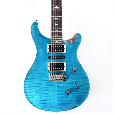 P.R.S. CE 24 Special Limited Edition (Carroll Blue) SN.0412969 画像10