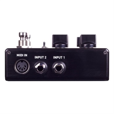 SOURCE AUDIO SA264 ENCOUNTER Ambient Delay+Reverb 画像1