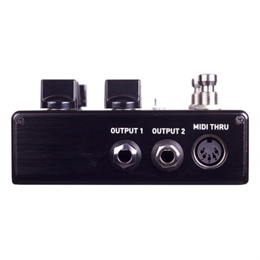 SOURCE AUDIO SA264 ENCOUNTER Ambient Delay+Reverb 画像2