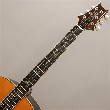P.R.S. 【夏先取り大特価セール】USED 中古 SE TONARE T60E (Natural) ポールリードスミス 画像8