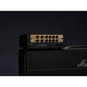 SYNERGY MARSHALL JMP [DUAL CHANNEL ALL-TUBE SYNERGY PREAMP MODULE] 画像5