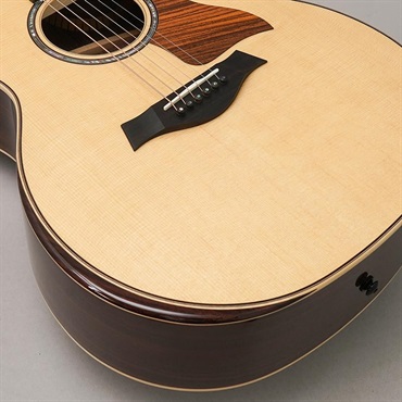 TAYLOR 814c テイラー 画像7