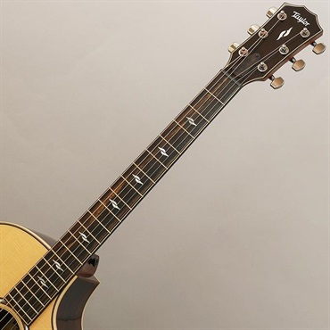 TAYLOR 814c テイラー 画像8