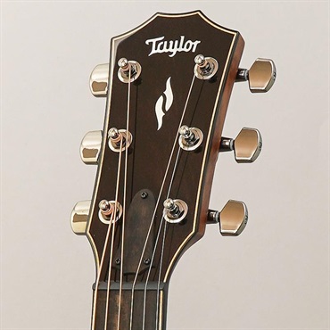 TAYLOR 814c テイラー 画像10
