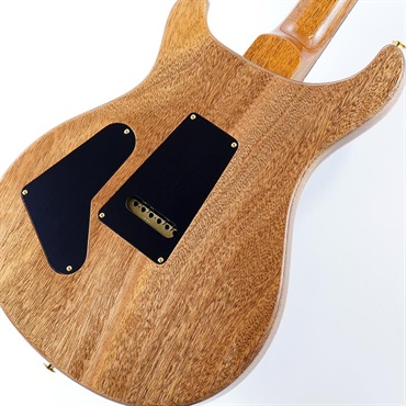 P.R.S. Custom 24 10 Top (Carroll Blue) SN.0412129 画像7
