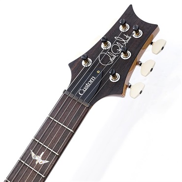 P.R.S. Custom 24 10 Top (Carroll Blue) SN.0412129 画像8