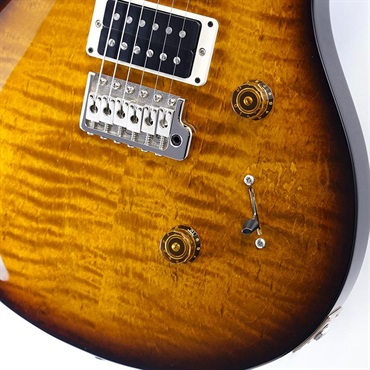 P.R.S. CE 24 Special Limited Edition (Black Amber) SN.0412372 2025年生産品 画像4