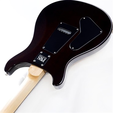 P.R.S. CE 24 Special Limited Edition (Black Amber) SN.0412372 2025年生産品 画像6