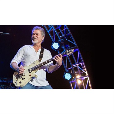 EVH EVH Kill Switch 画像2