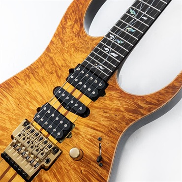 Ibanez VISIONS IV1RG SN.125303 画像3