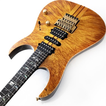 Ibanez VISIONS IV1RG SN.125303 画像5