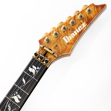 Ibanez VISIONS IV1RG SN.125303 画像8