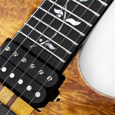 Ibanez VISIONS IV1RG SN.125303 画像9