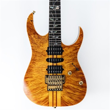 Ibanez VISIONS IV1RG SN.125303 画像10