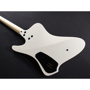 DINGWALL D-Roc Standard 4strings (Ducati Matte Pearl White) 画像9